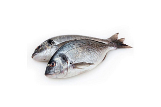 Дорадо с/м 300-400 ВЕС. Турция КРК