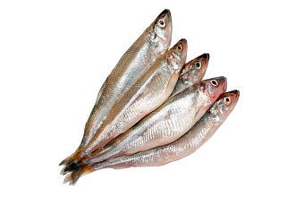 Корюшка с/м 17+ КРК ВЕС